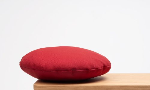 CUSHIONS (5)